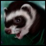 TrickyFerret